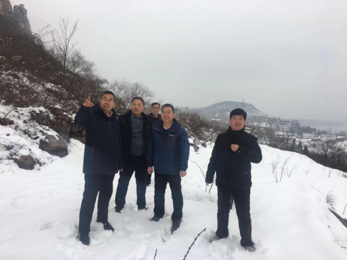 三门峡市沿黄生态廊道前期工作顺利推进